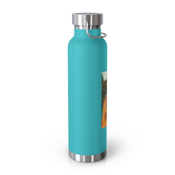 "See Me" 22oz Vacuum Insulated Bottle